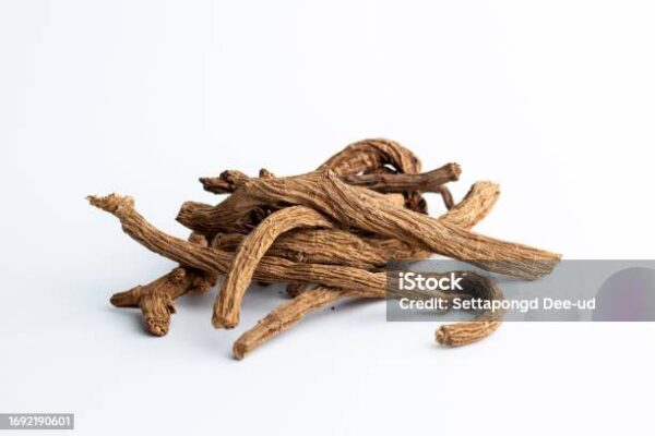 atlas dried toot