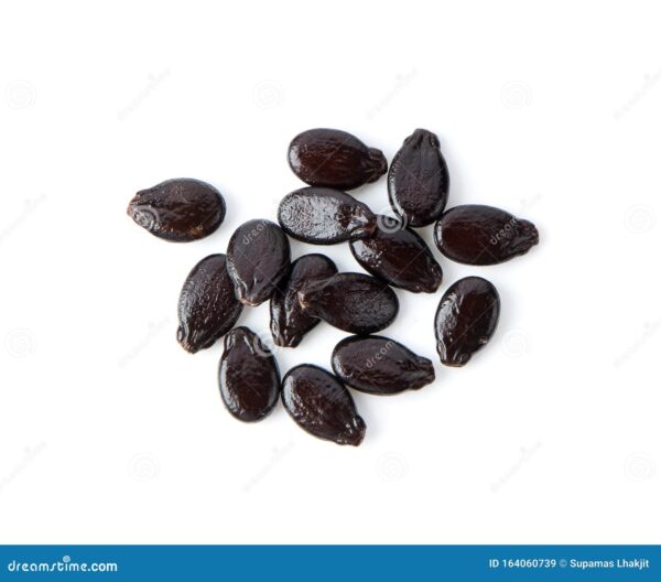 Watermelon Seeds Super