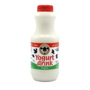 Karoun Yogurt Drink (473 mL)