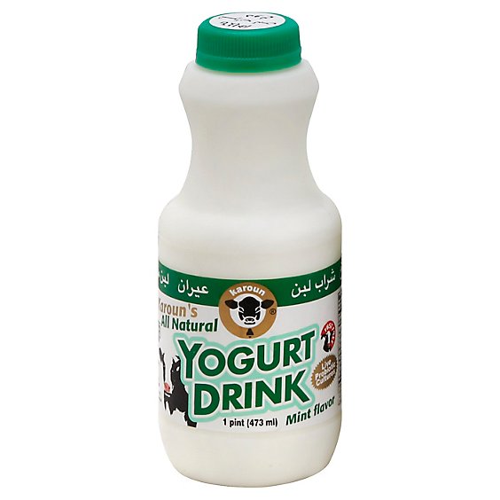 Karoun Mint Yogurt Drink (473 mL)